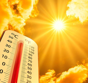 В 2026 году ожидается рекордная жара