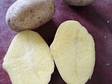 Картофель