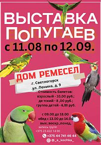 Выставка попугаев