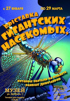 Гигантские насекомые в Светлогорске