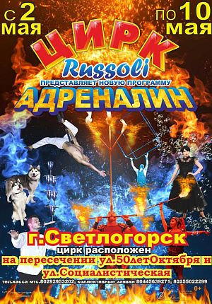 Цирк "Руссоли" в Светлогорске