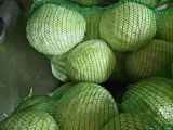 Капуста белокачанная